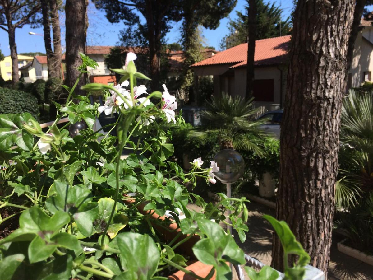 Alice Hotel Cervia